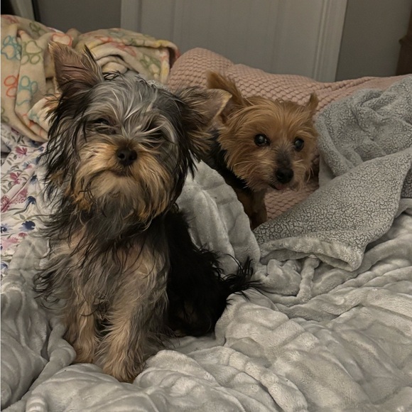 🙋🏼♀️ Welcome to Kayla’s Closet! - Picture 3 of 4